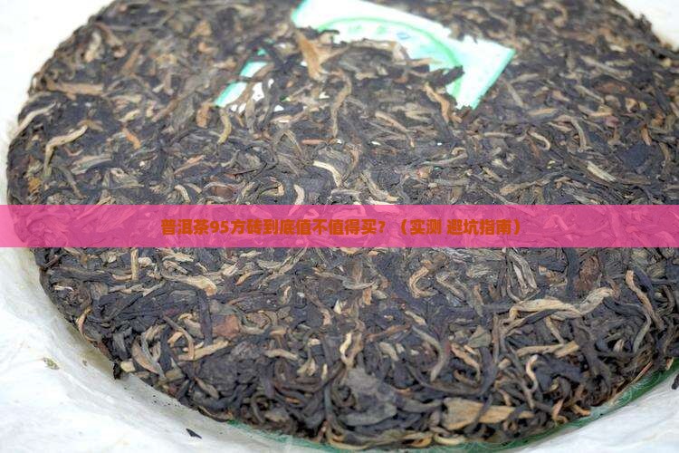 普洱茶95方砖