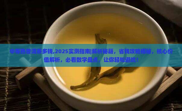 中等熟普洱茶多钱