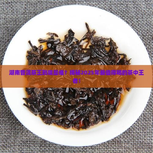 湖南普洱茶王是谁