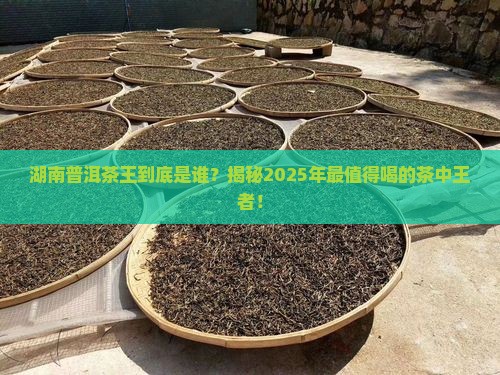 湖南普洱茶王是谁