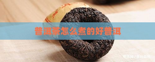 普洱茶怎么用煮的好
