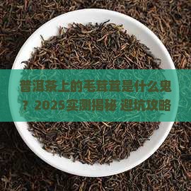 普洱茶有毛茸茸的东西正常吗