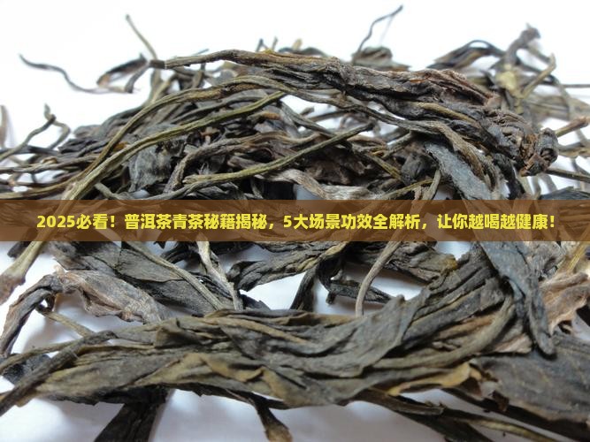 普洱茶青茶的作用与功效