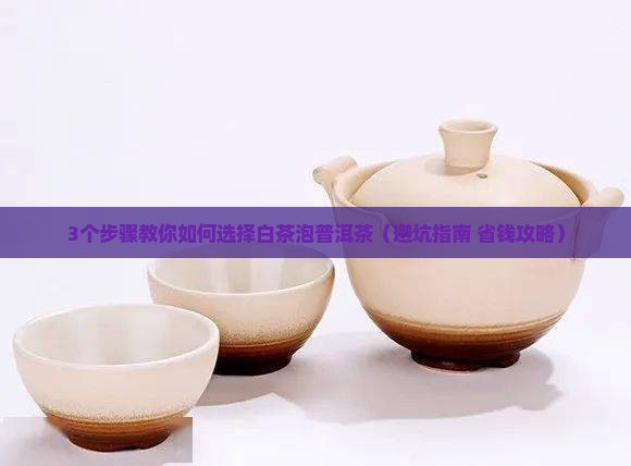 如何选择白茶泡普洱茶