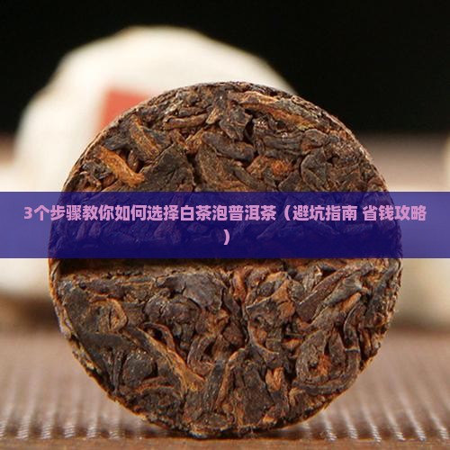 如何选择白茶泡普洱茶