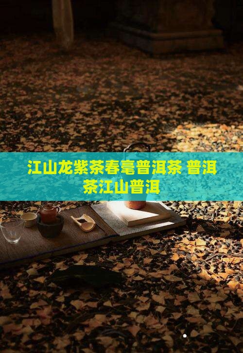 江山龙紫茶春毫普洱茶