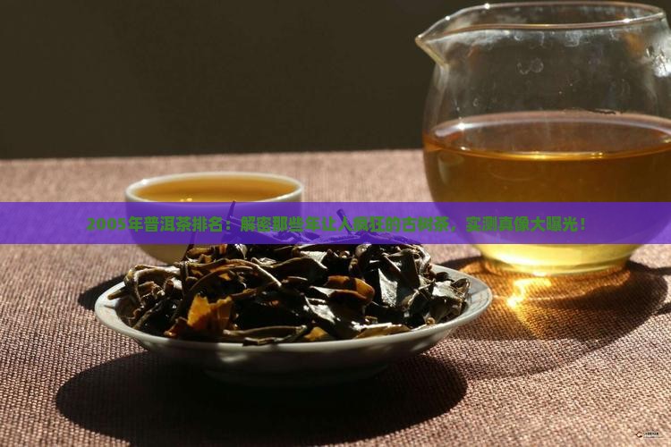 2005年普洱茶排名