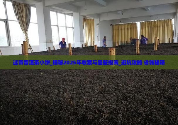 迷帝普洱茶小饼
