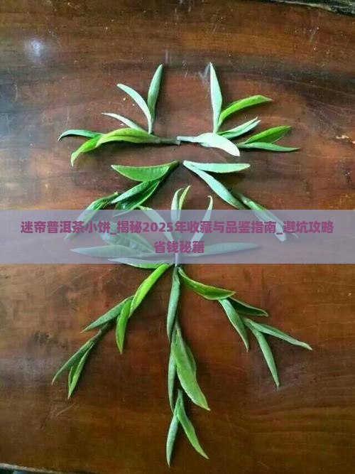 迷帝普洱茶小饼