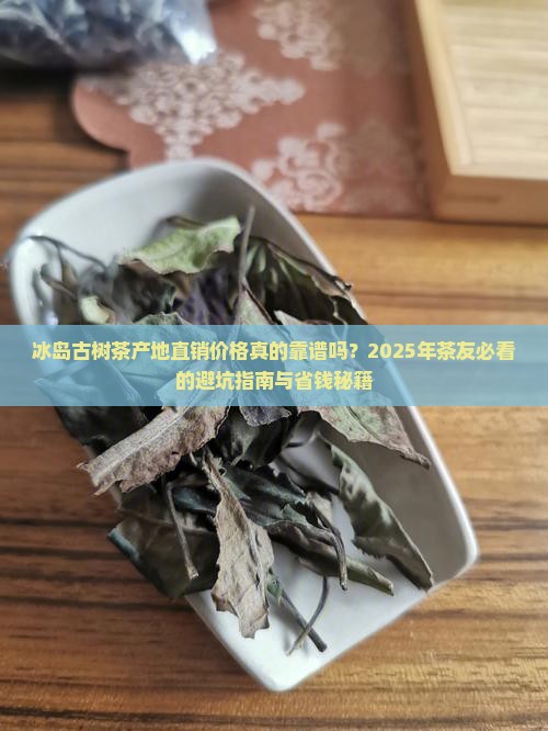 冰岛古树茶产地直销价格