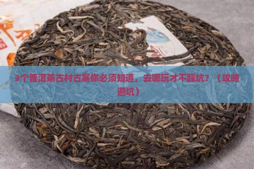 普洱茶古村古寨有哪些