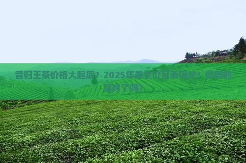 昔归王茶价格表大全