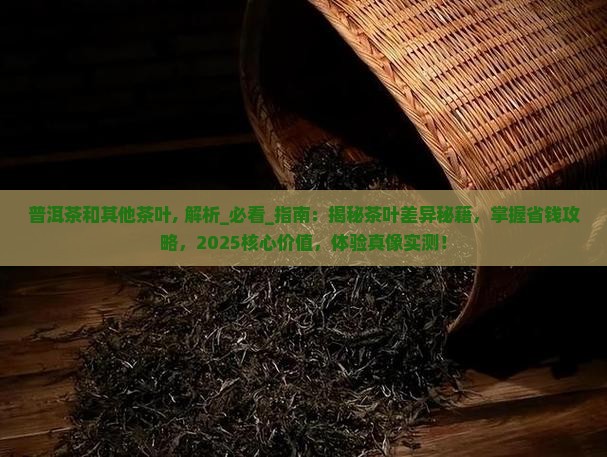 普洱茶和其他茶叶