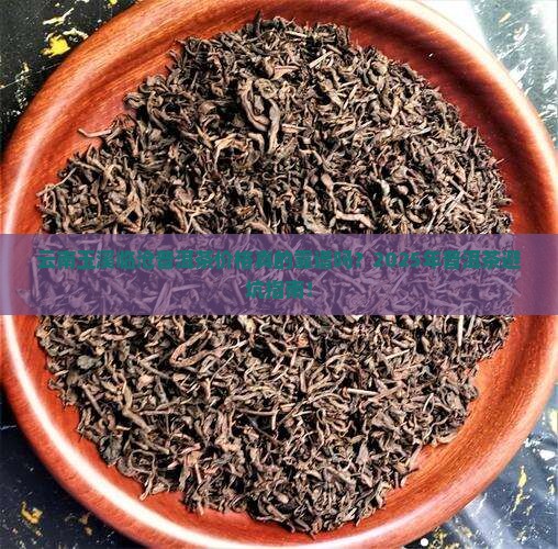 云南玉溪临沧普洱茶价格
