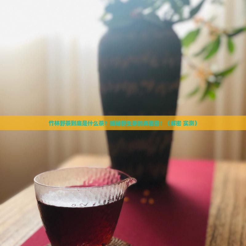 竹林野茶是什么茶