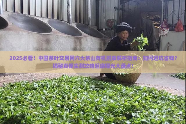 中国茶叶交易网六大茶山有机班章