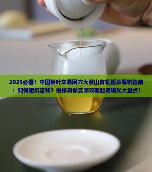 中国茶叶交易网六大茶山有机班章