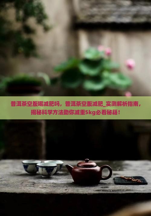 普洱茶空腹喝减肥吗
