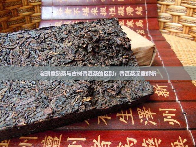 老班章熟茶和大树茶的区别