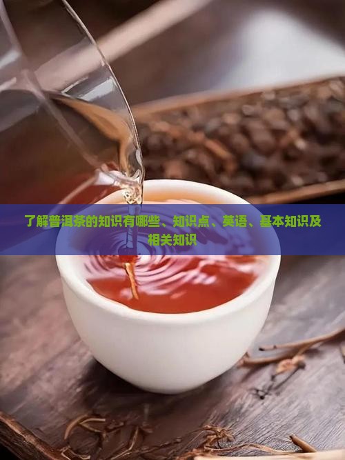 了解普洱茶的知识