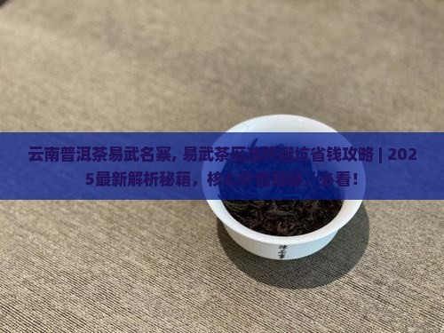 云南普洱茶易武名寨