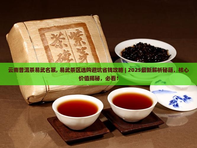 云南普洱茶易武名寨