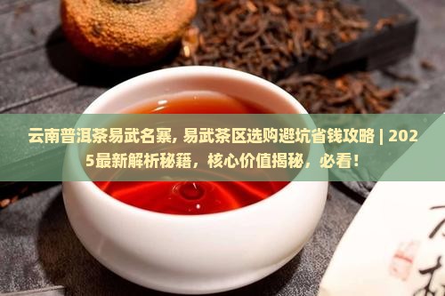 云南普洱茶易武名寨