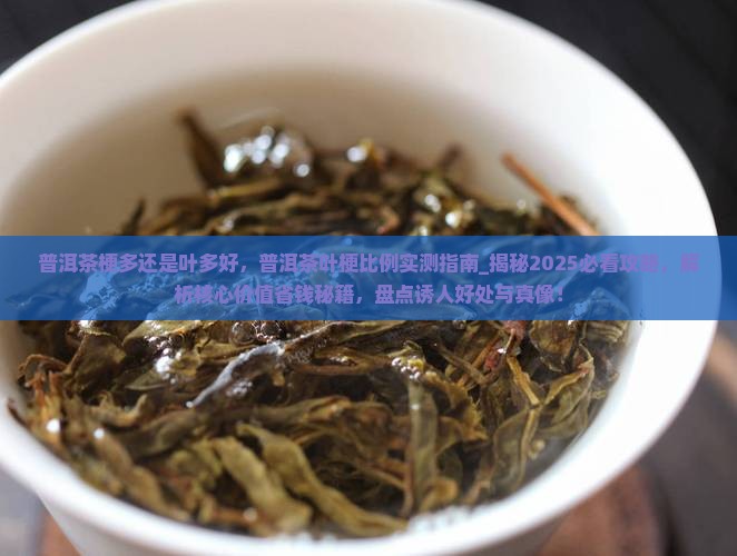 普洱茶梗多还是叶多好 普洱茶梗多还是叶多好