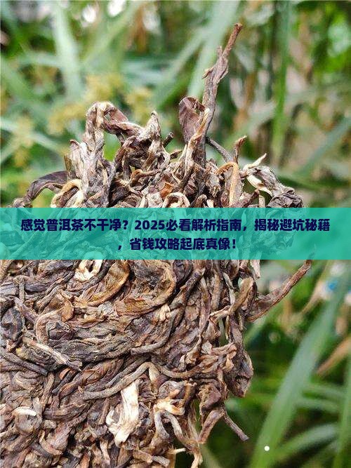 感觉普洱茶不干净