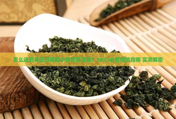如何买好的小青柑普洱茶