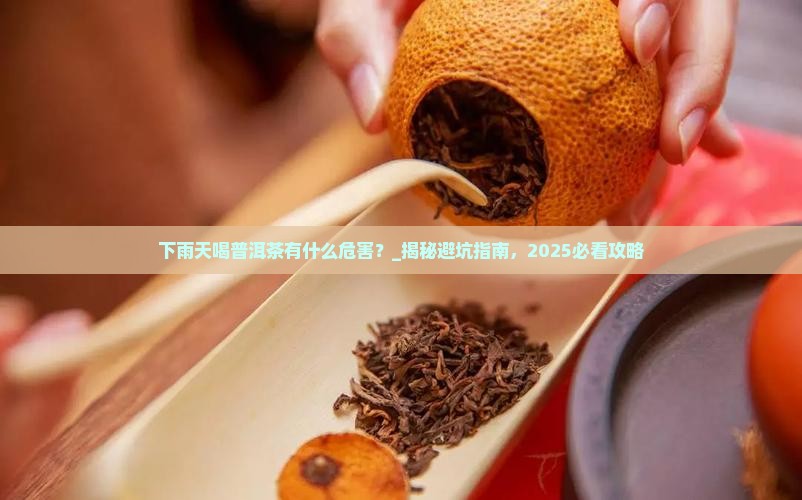 下雨天喝普洱茶有什么危害