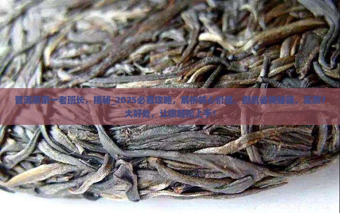 普洱茶第一老班长 普洱茶第一老班长