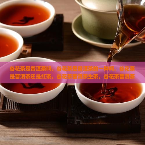 谷花茶是普洱茶