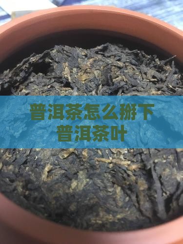 普洱茶怎么把茶叶掰下来