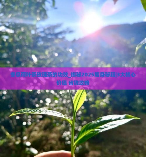 冬瓜荷叶茶玫瑰茶的功效