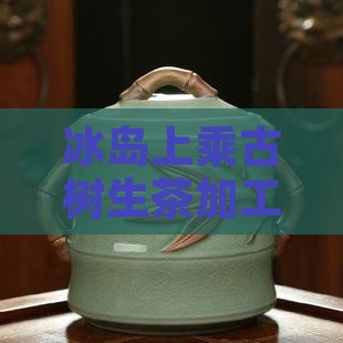 冰岛至味古树生茶