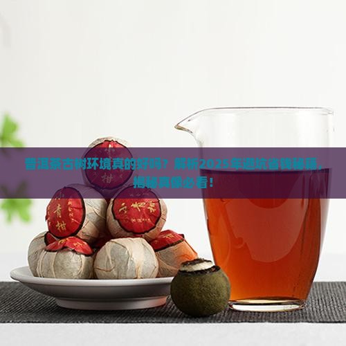普洱茶古树环境