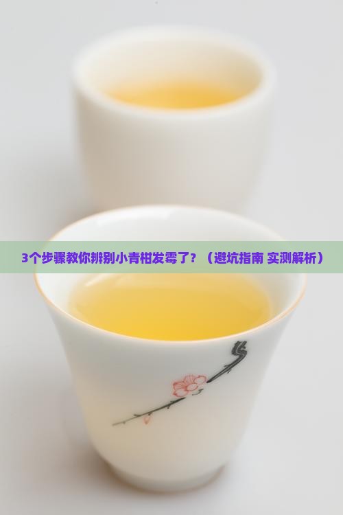 小青柑普洱茶小青柑发霉了