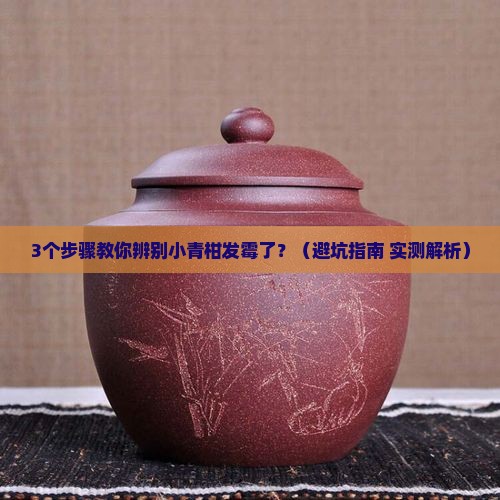小青柑普洱茶小青柑发霉了