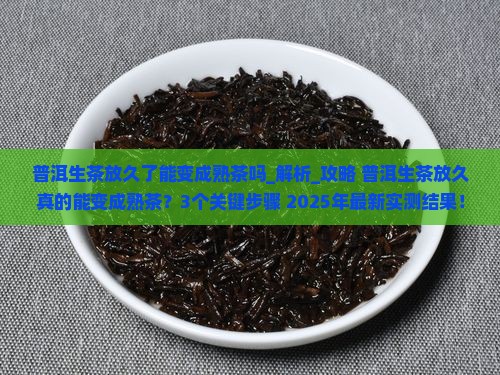 普洱生茶放久了能变成熟茶吗