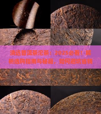 清远普洱茶沱茶