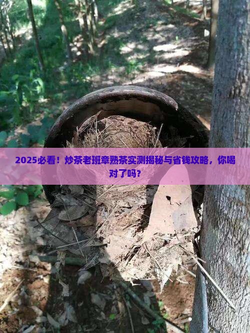 炒茶老班章熟茶