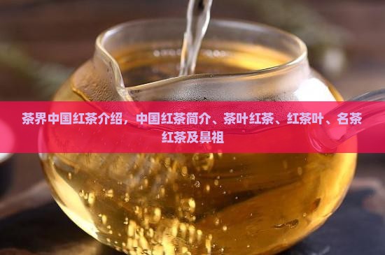 茶界中国红茶介绍