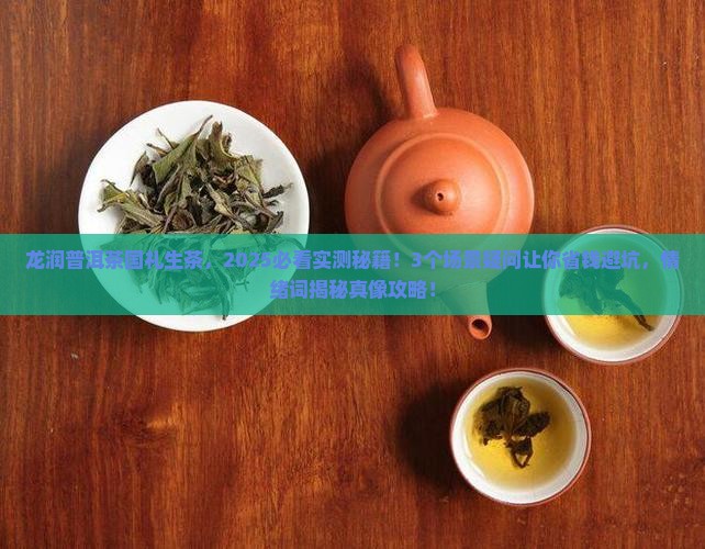 龙润普洱茶国礼生茶