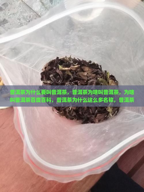 普洱茶为什么要叫普洱