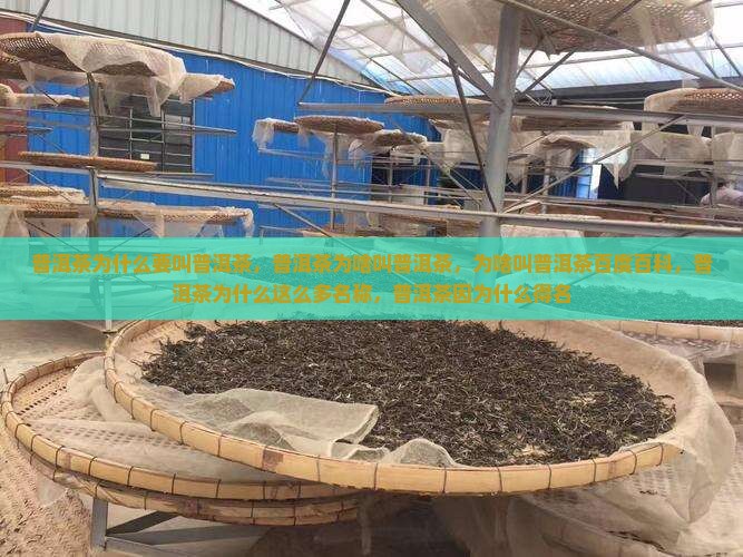 普洱茶为什么要叫普洱
