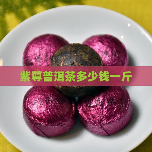 紫尊普洱茶多少钱一斤