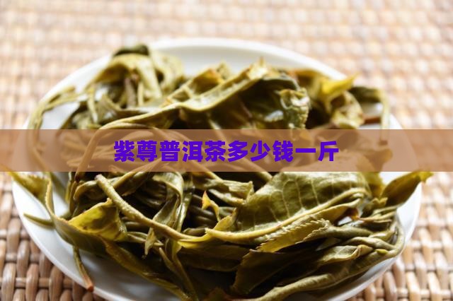 紫尊普洱茶多少钱一斤