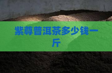 紫尊普洱茶多少钱一斤