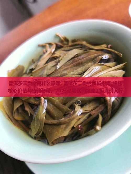 普洱茶二类树是什么意思